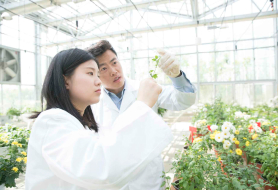Scientists study plants for health and beauty research at Amway’s Botanical Research Center in Wuxi, China.